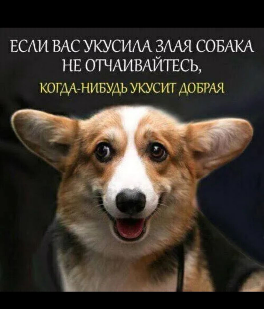 ЕСАИ ВАС УКУСИАА ёААЯ СОБАКА НЕ ОТЧАИВАИТЕСЬ КОГДА НИБУДЬ УКУС ИТ ДОБРАЯ