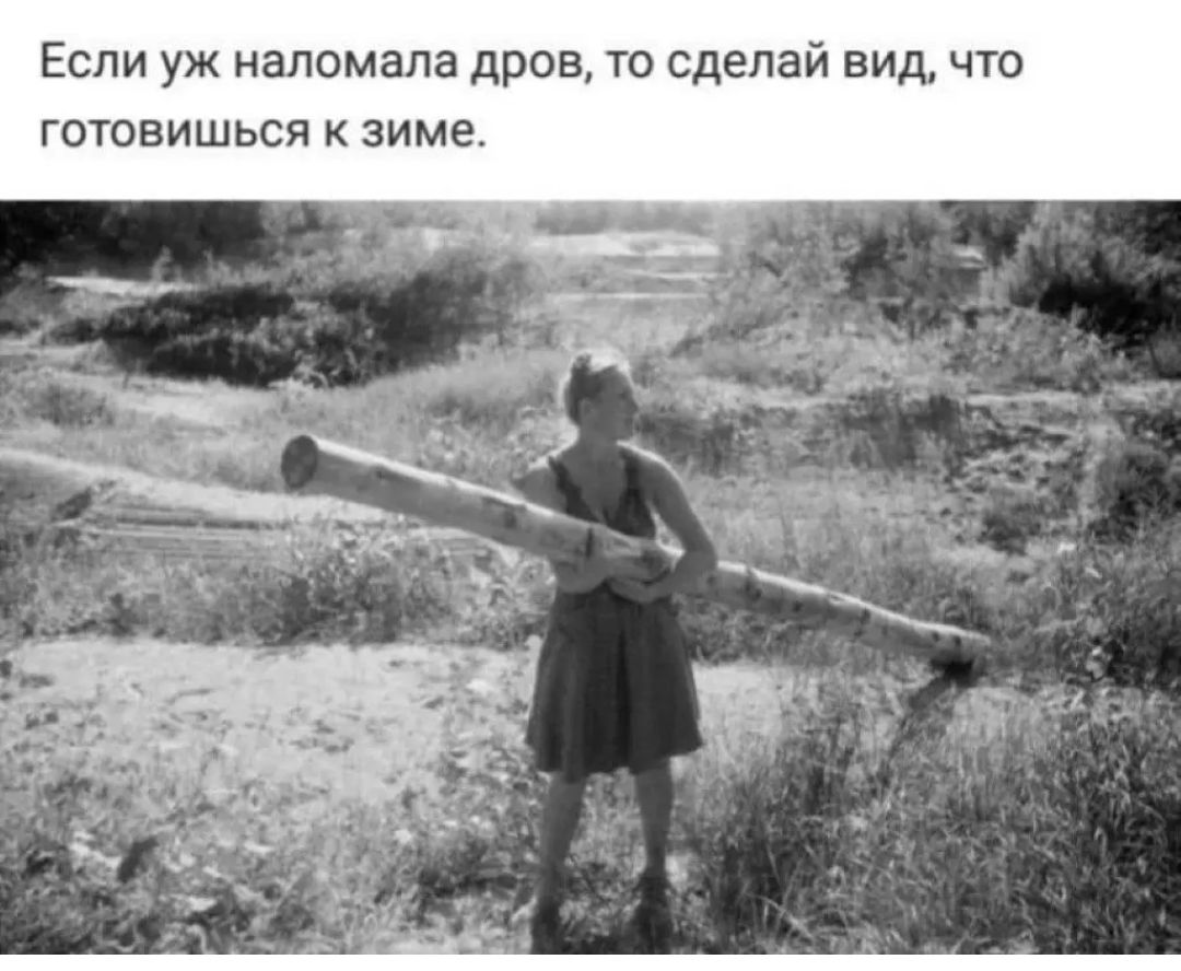 Если уж наломала дров то сделай вид что готовишься к зиме
