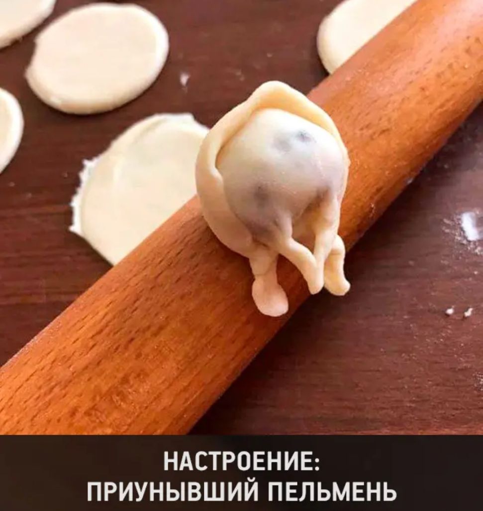 НАСТРОЕНИЕ ПРИУНЫВШИЙ ПЕЛЬМЕНЬ