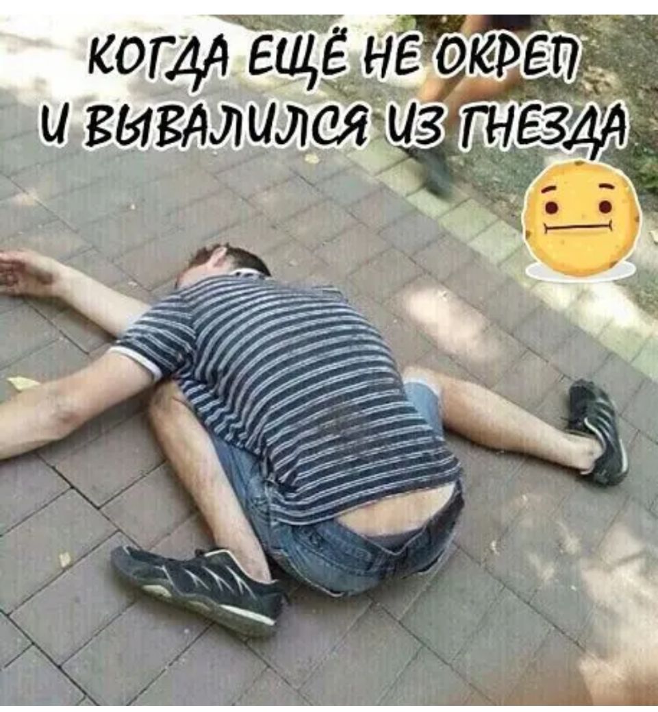котч Ещё не 914237 и выгдл идеям тез