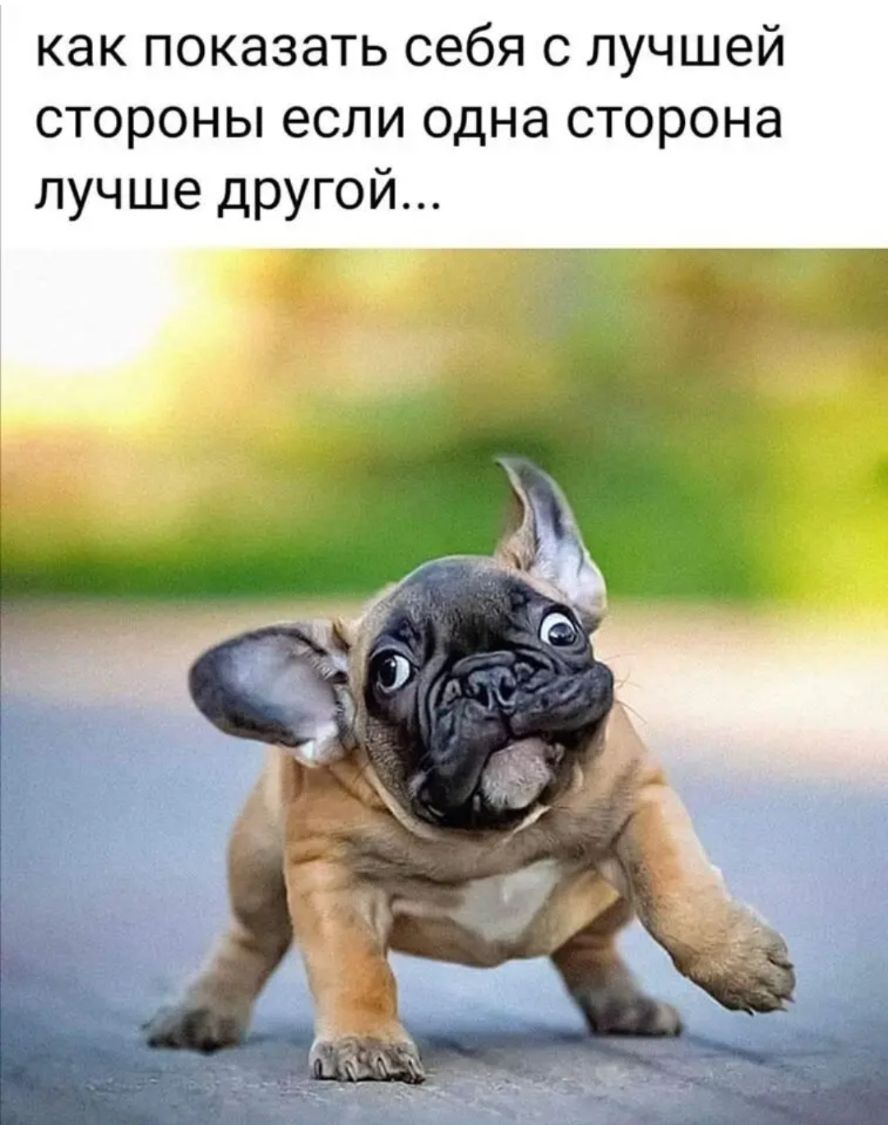 как показать себя с лучшей стороны если одна сторона лучше другой
