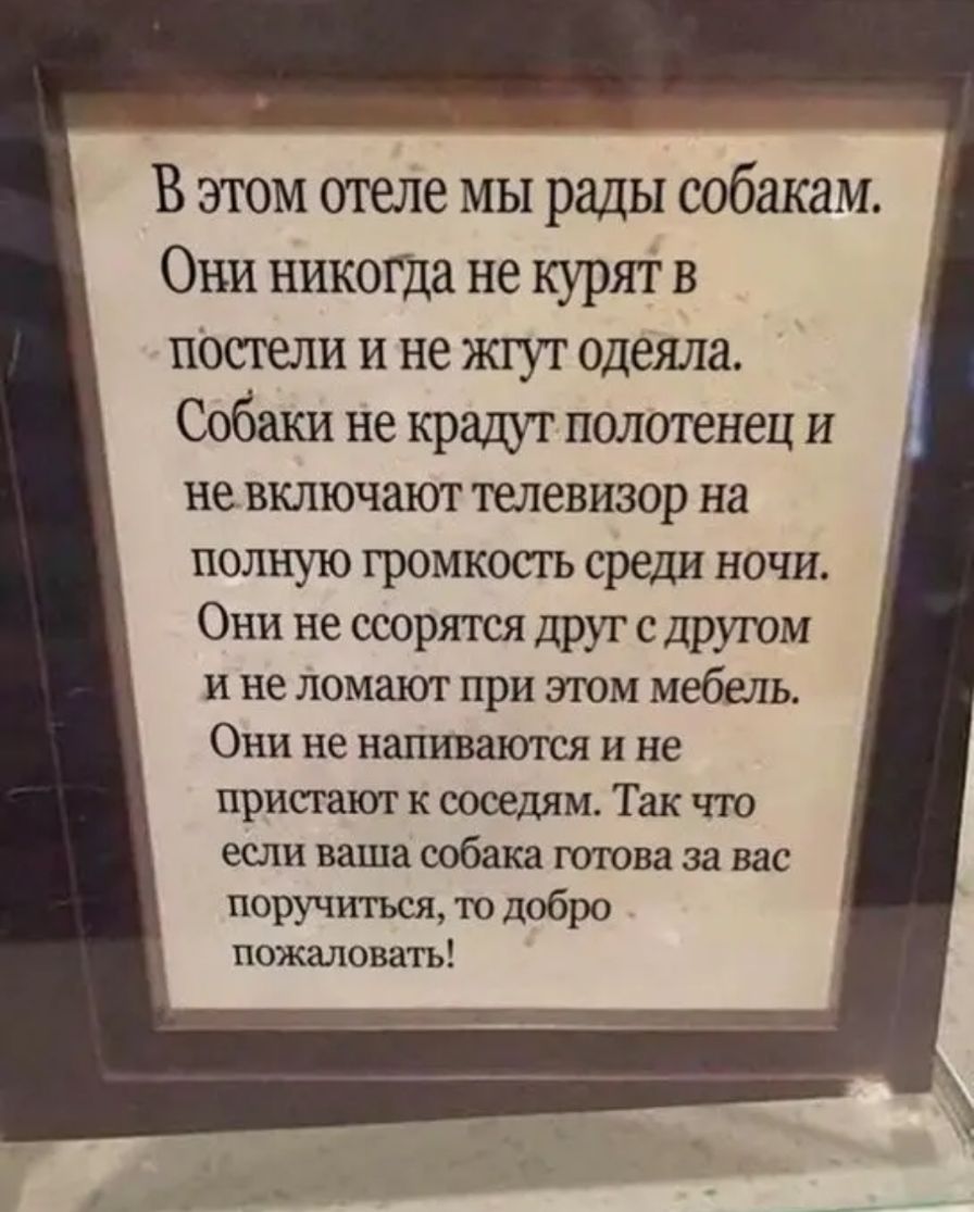 В этом отеле мы рады собакам Они никогда не курят в Постели и не жгут одеяла Собаки не крашт полотенец и не включают ТЕЛЕВИЗОР на полную ГРОМКОСГЬ среди НОЧИ Они не ссорятся друг с другом и не ломают при этом мебель Они не напиваются и не пристают к соседям Так что если ваша собака готова за вас поручиться то добро пожаловать