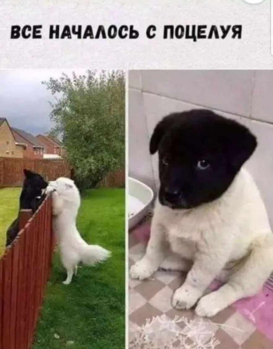 ВСЕ НАЧААОСЬ С ПОЦЕАУЯ
