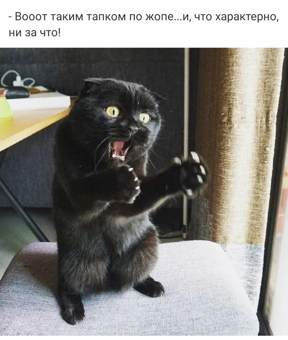 Вооот таким тапком по жопеи что характерно ни за что