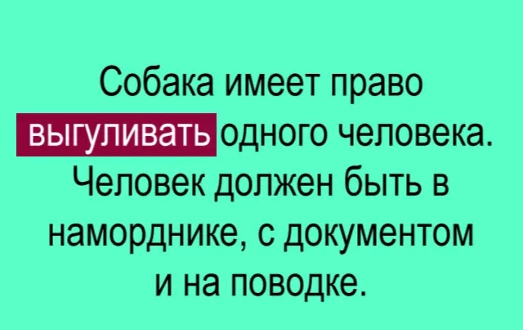 Собака имеет право _одного человека Человек должен быть в наморднике с документом и на поводке