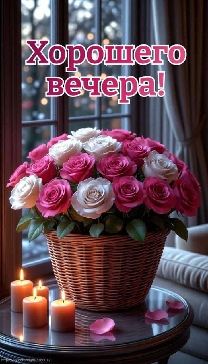 Хорошего вечера!