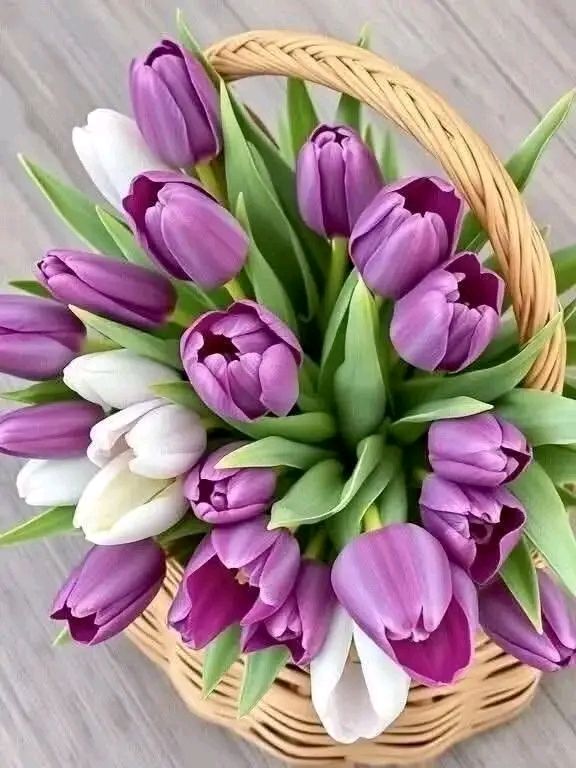Корзина с фиолетовыми и белыми тюльпанами в плетёной корзине