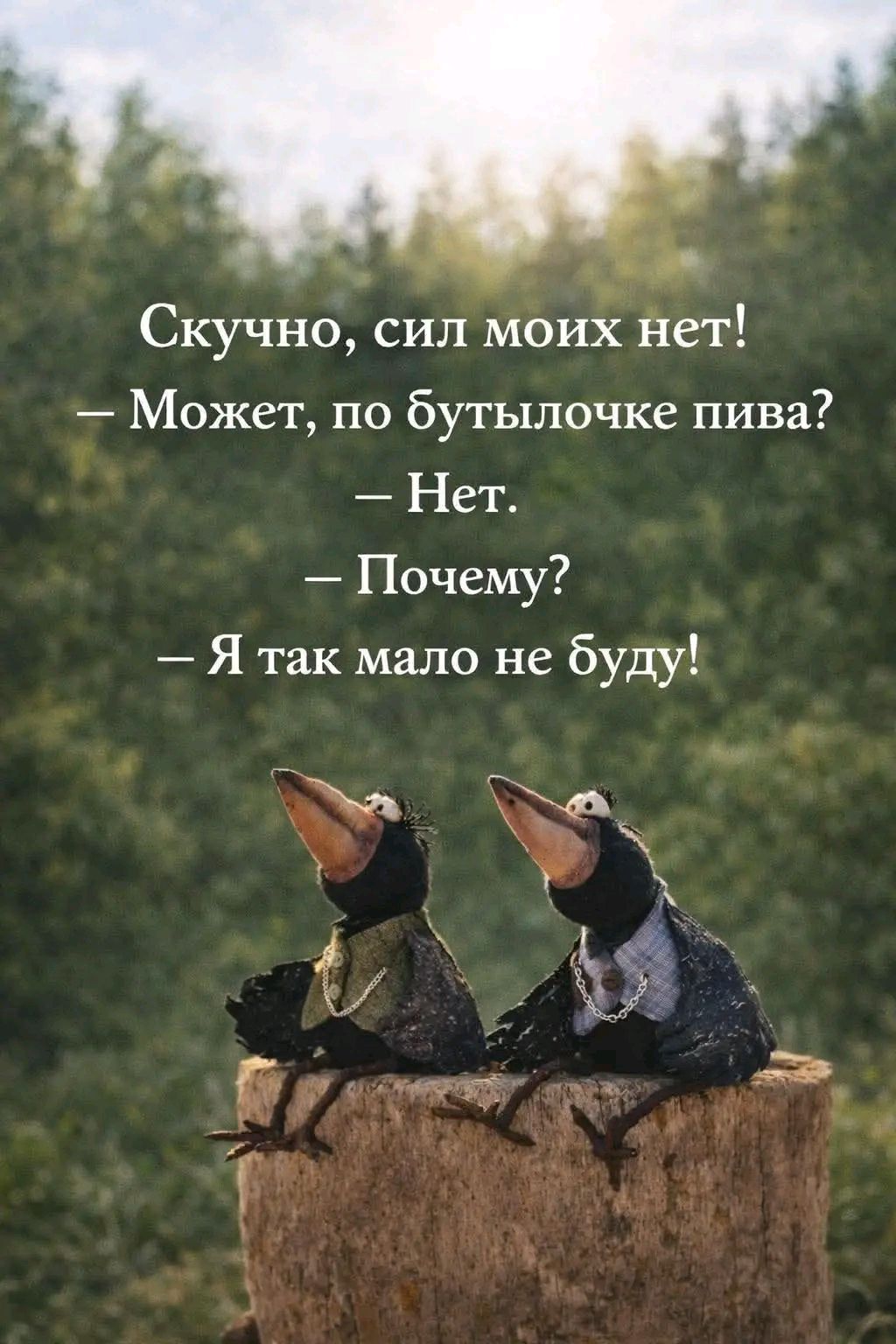 Скучно, сил моих нет! — Может, по бутылочке пива? — Нет. — Почему? — Я так мало не буду!