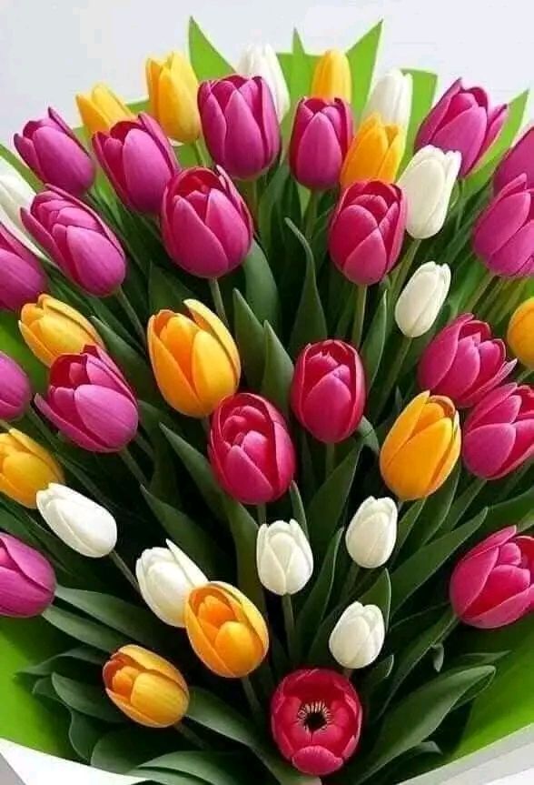 Букет разноцветных тюльпанов