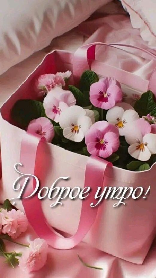 Доброе утро!