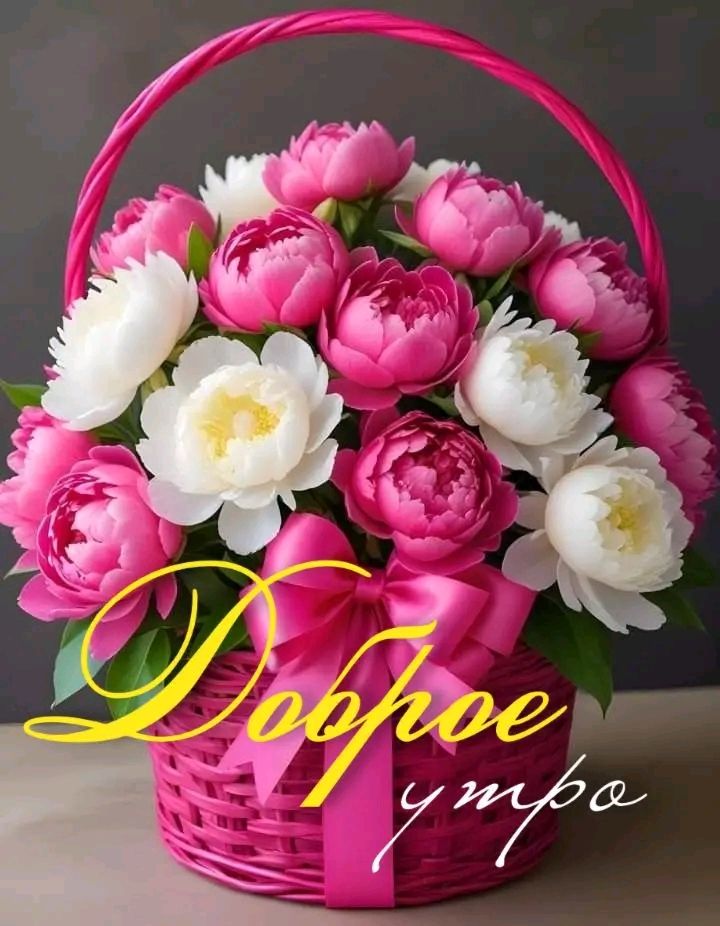 Доброе утро