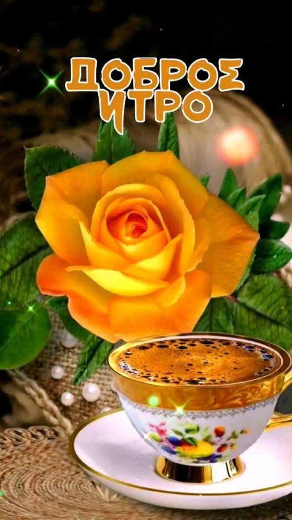 ДОБРОЕ УТРО