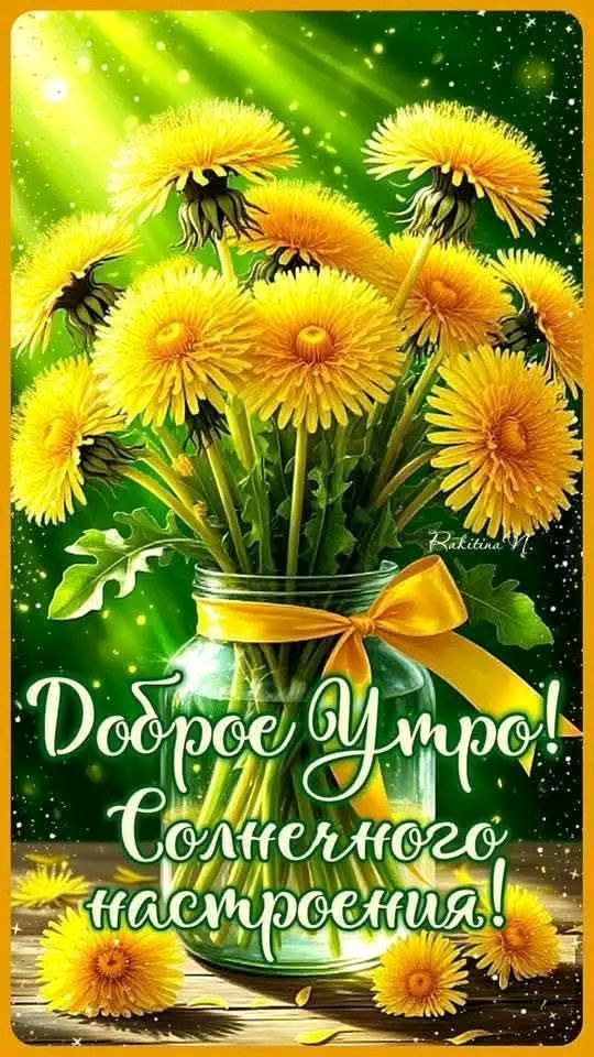 Доброе Утро! Солнечного настроения!