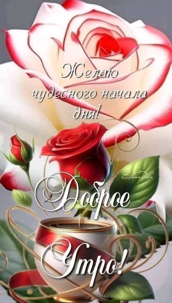 Желаю чудесного начала дня! Доброе Утро!