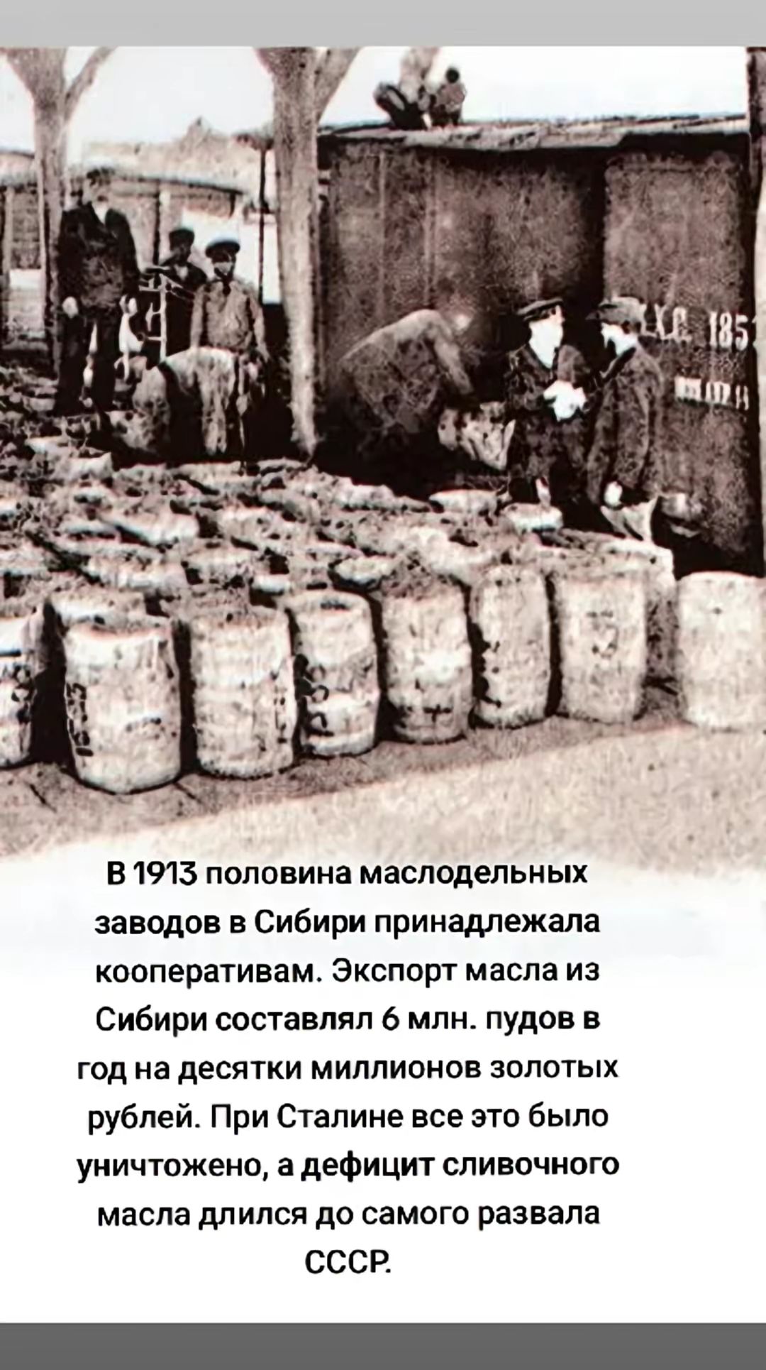 В 1913 половина маслодельных заводов в Сибири принадлежала кооперативам. Экспорт масла из Сибири составлял 6 млн. пудов в год на десятки миллионов золотых рублей. При Сталине все это было уничтожено, а дефицит сливочного масла длился до самого развала СССР.
