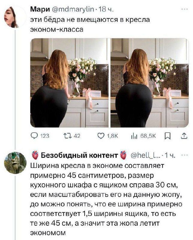 эти бёдра не помещаются в кресла эконом-класса
Ширина кресла в экономе составляет примерно 45 сантиметров, размер кухонного шкафа с ящиком справа 30 см, если масштабировать его на данную жопу, то можно понять, что её ширина примерно соответствует 1,5 ширины ящика, то есть это х45 см, а значит эта жопа летит экономом