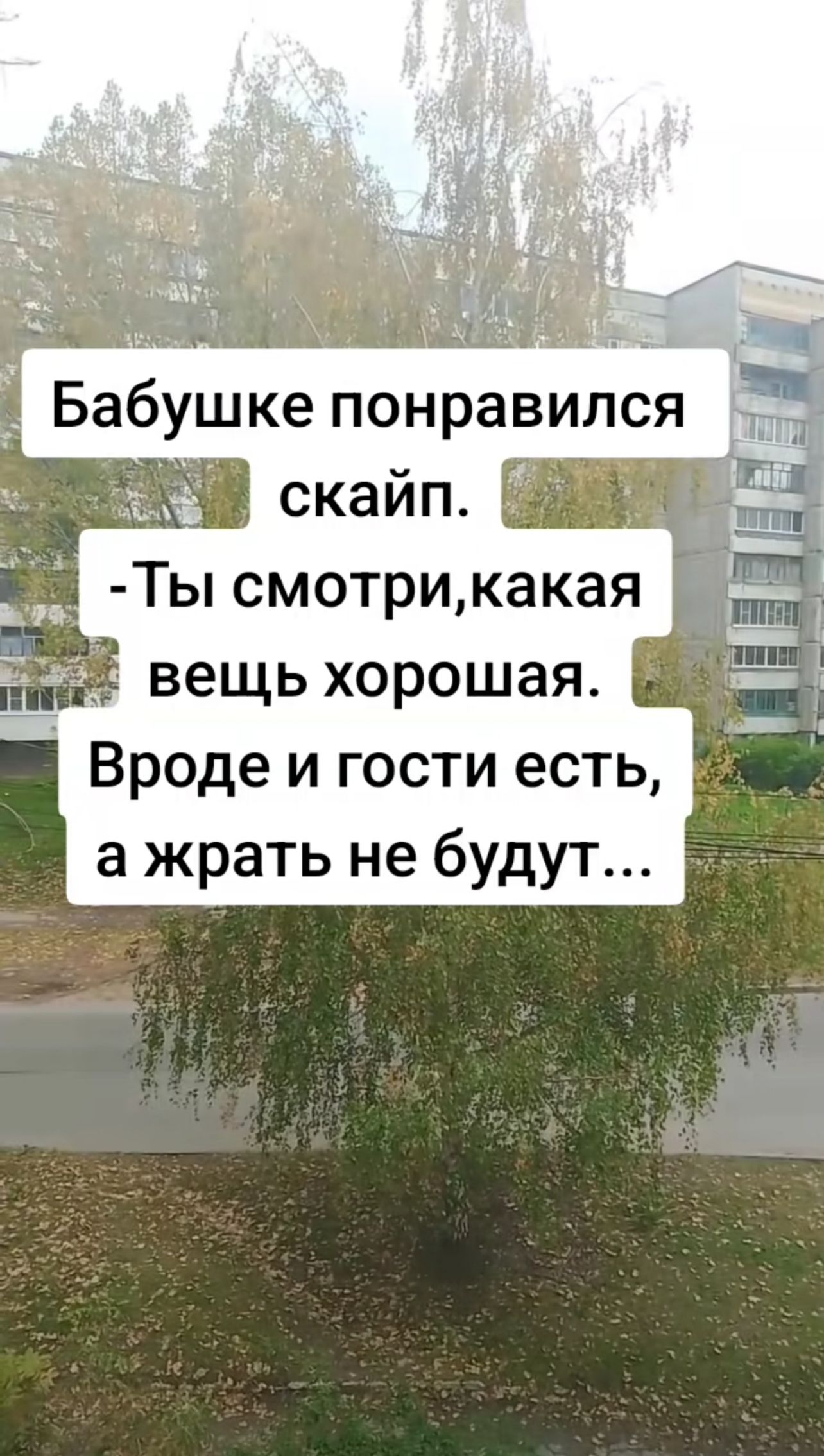 Бабушке понравился скайп.
- Ты смотри, какая вещь хорошая.
Вроде и гости есть, а жрать не будут...