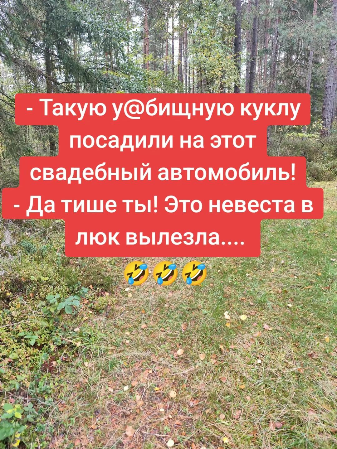 - Такую у@бищную куклу посадили на этот свадебный автомобиль! 
- Да тише ты! Это невеста в люк вылезла.... 
🤣🤣🤣