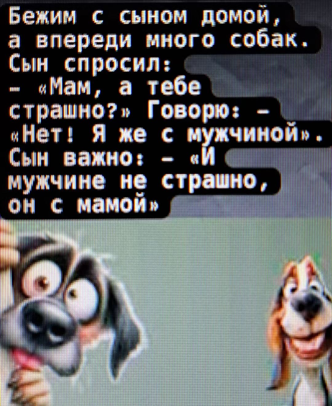 Бежим с сыном домой, а впереди много собак. Сын спросил: - 