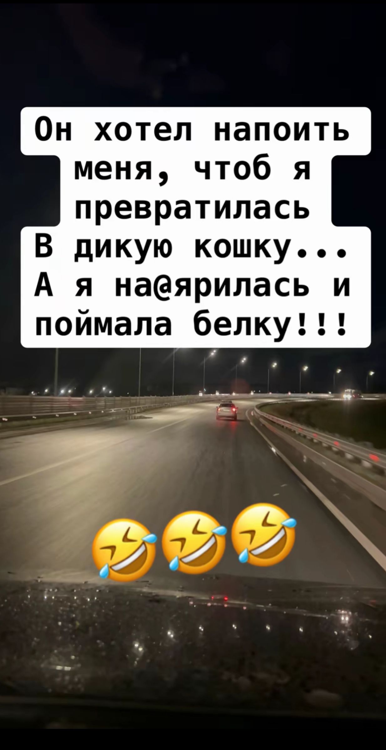 Он хотел напоить меня, чтоб я превратилась
В дикую кошку...
А я на@ярилáсь и поймала белку!!!
😂😂😂