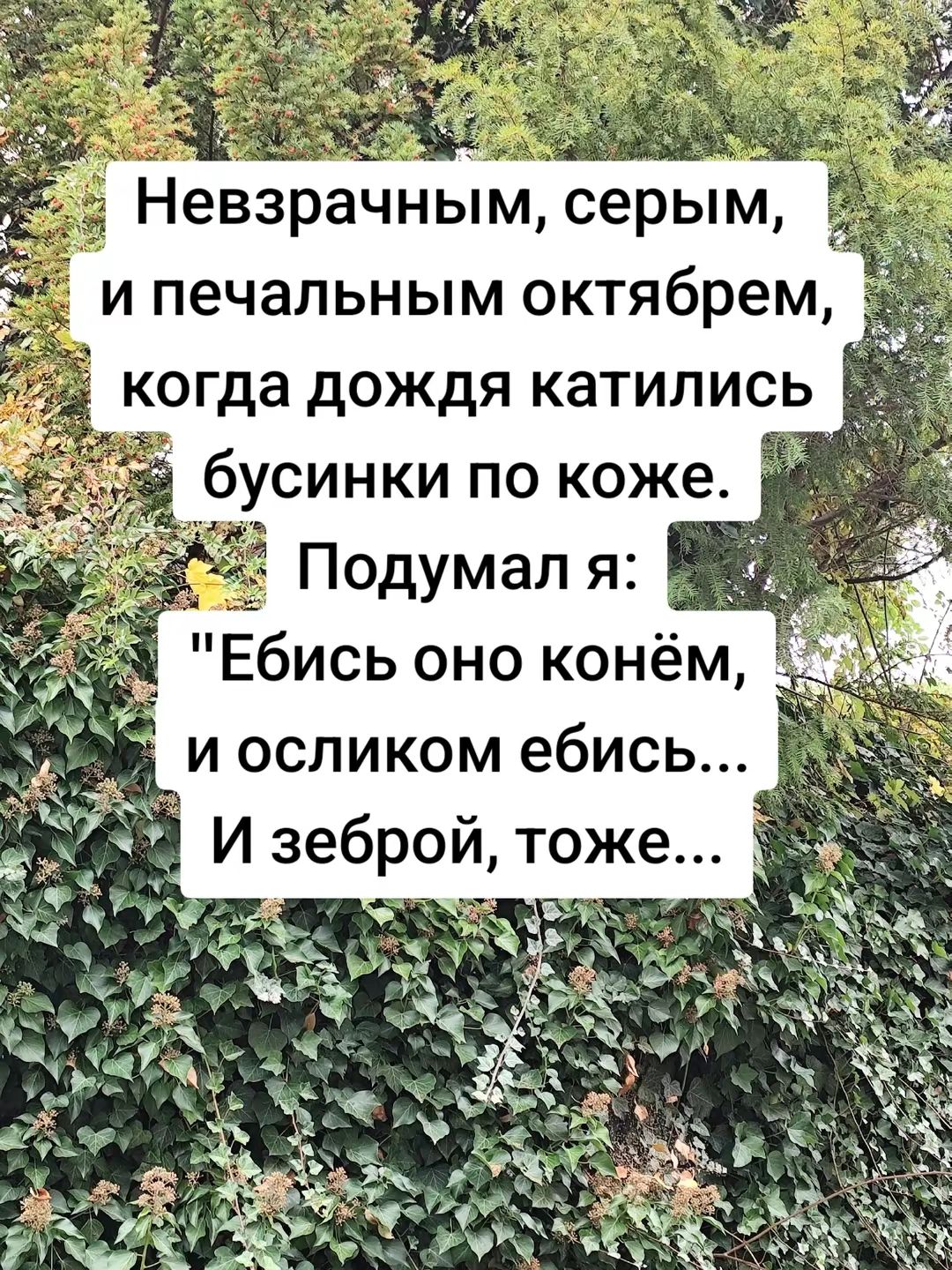 Неварачным, серым, и печальным октябрем, когда дожди катились бусинки по коже. Подумал я: 