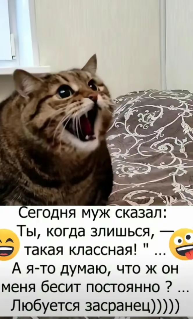 Сегодня муж сказал: Ты, когда злишься, — такая классная! 