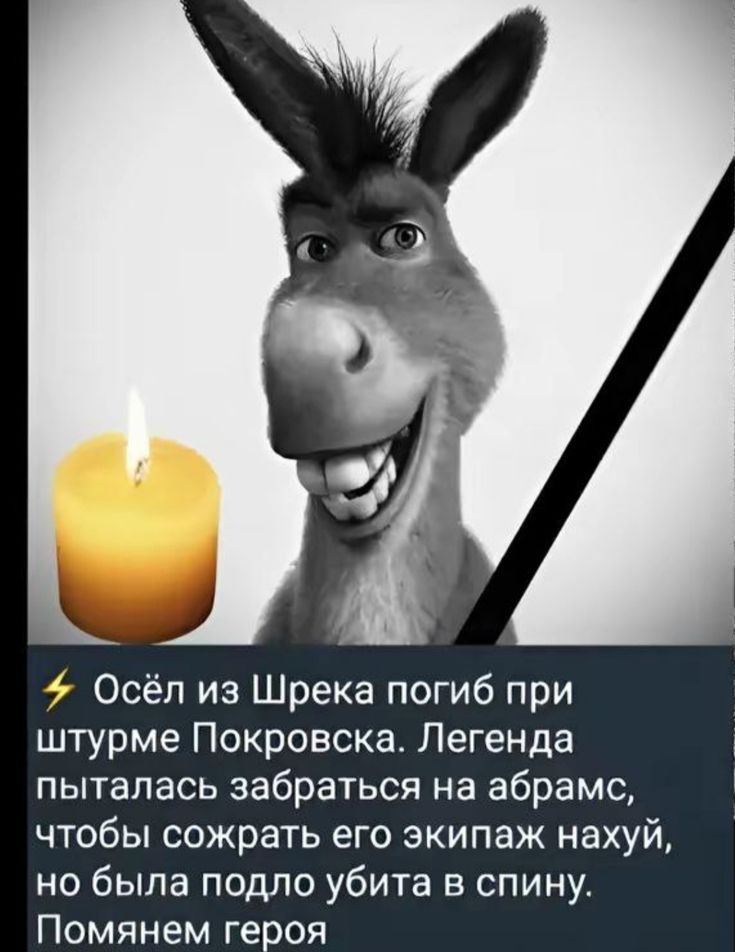 Осёл из Шрека погиб при штурме Покровска. Легенда пыталась забраться на абрамс, чтобы сохранить его экипаж нахуй, но была подло убита в спину. Помянем героя.