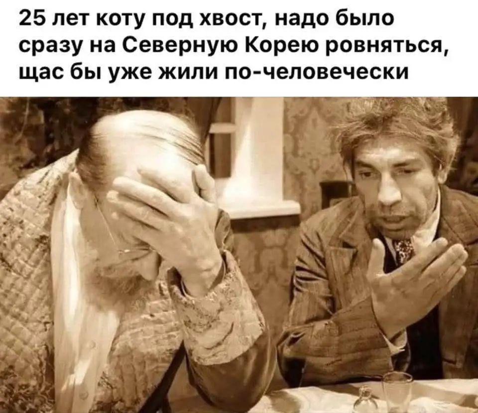 25 лет коту под хвост, надо было сразу на Северную Корею равняться, щас бы уже жили по-человечески