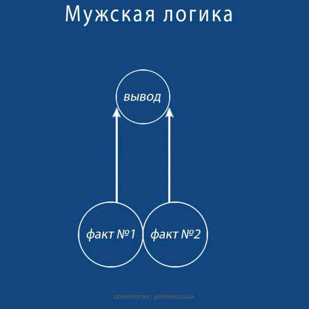 Мужская логика\nфакт №1\nфакт №2\nвывод