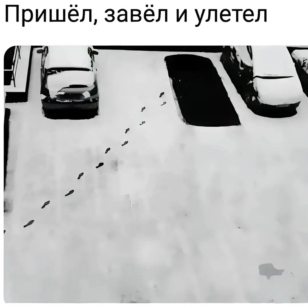 Пришёл, завёл и улетел