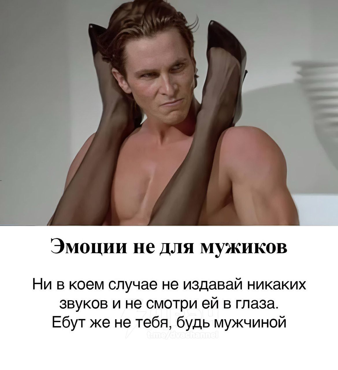 Эмоции не для мужиков Ни в коем случае не издавай никаких звуков и не смотри ей в глаза. Ебуть же не тебя, будь мужчиной
