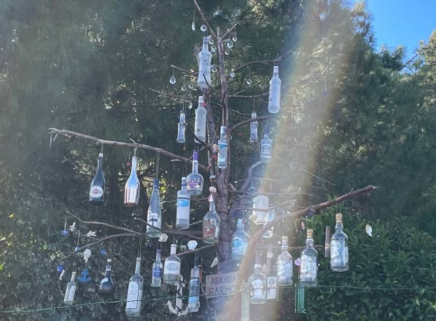 Дерево украшено развешанными бутылками на ветках.