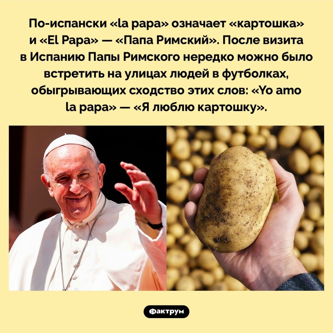 По-испански «la para» означает «картошка» и «El Papa» — «Папа Римский». После визита в Испанию Папы Римского нередко можно было встретить на улицах людей в футболках, обыгрывающих сходство этих слов: «Yo amo la papa» -- «Я люблю картошку!»