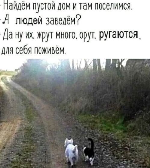 Найдём пустой дом и там поселимся. А людей заведём? Да ну их, жрут много, орут, ругаются, для себя поживём.