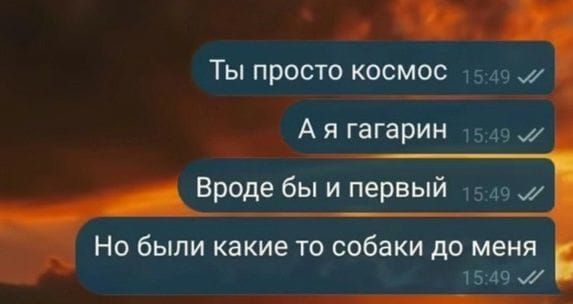 Ты просто космос
А я гагарин
Вроде бы и первый
Но были какие то собаки до меня