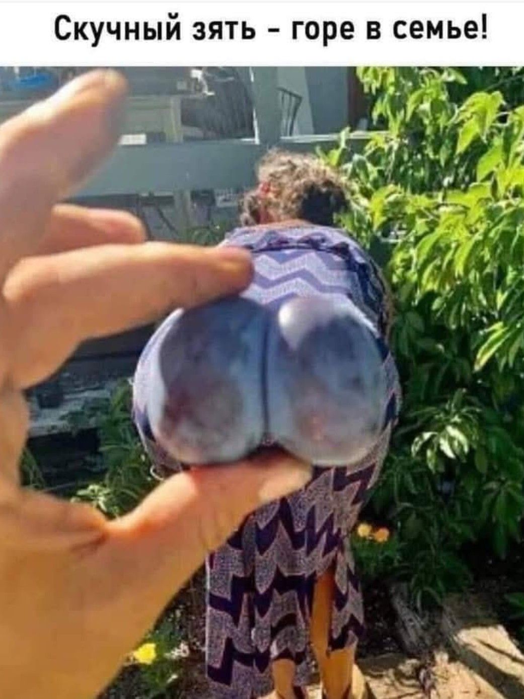 Скучный зять - горе в семье!