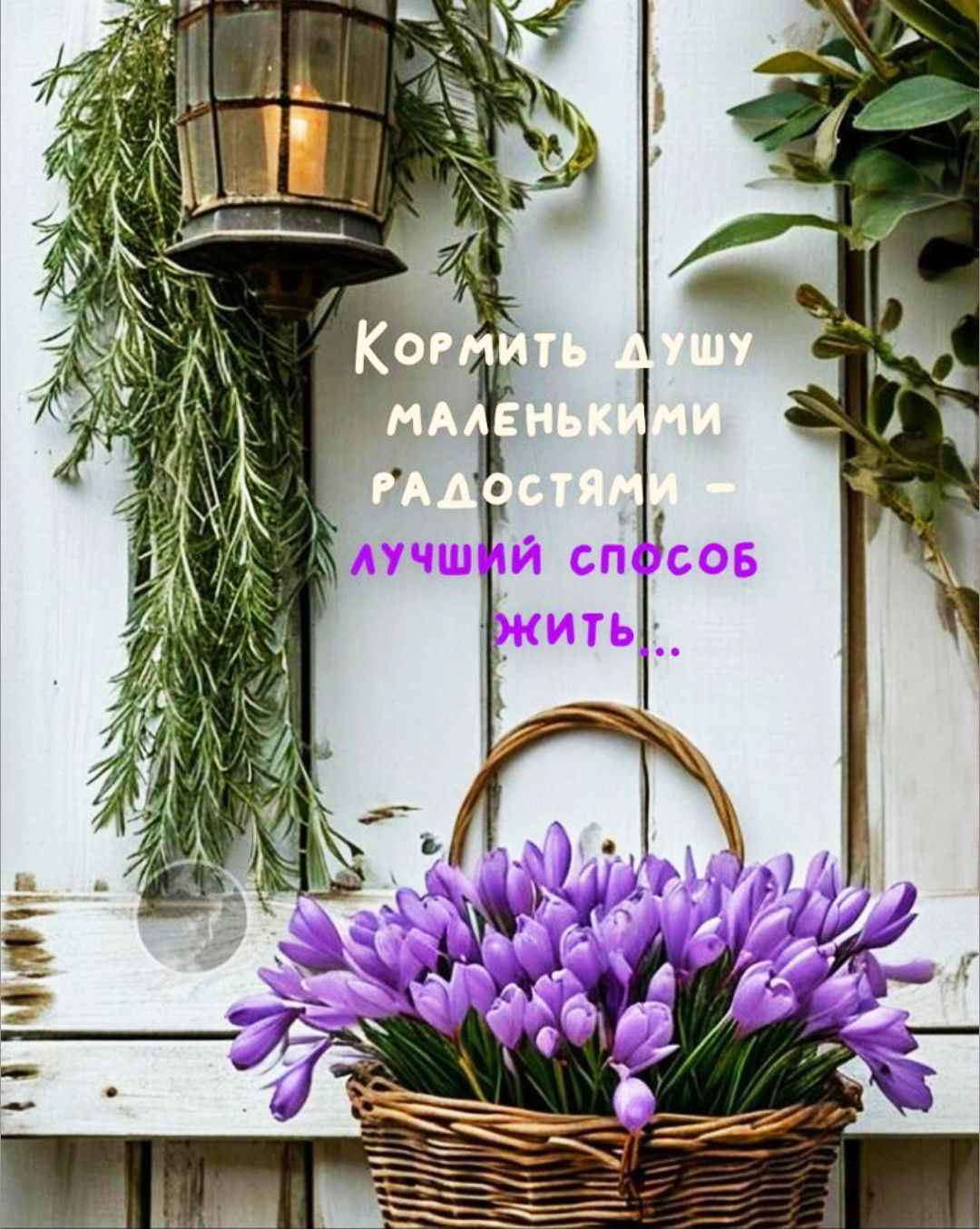 Кормить душу маленькими радостями – лучший способ жить...