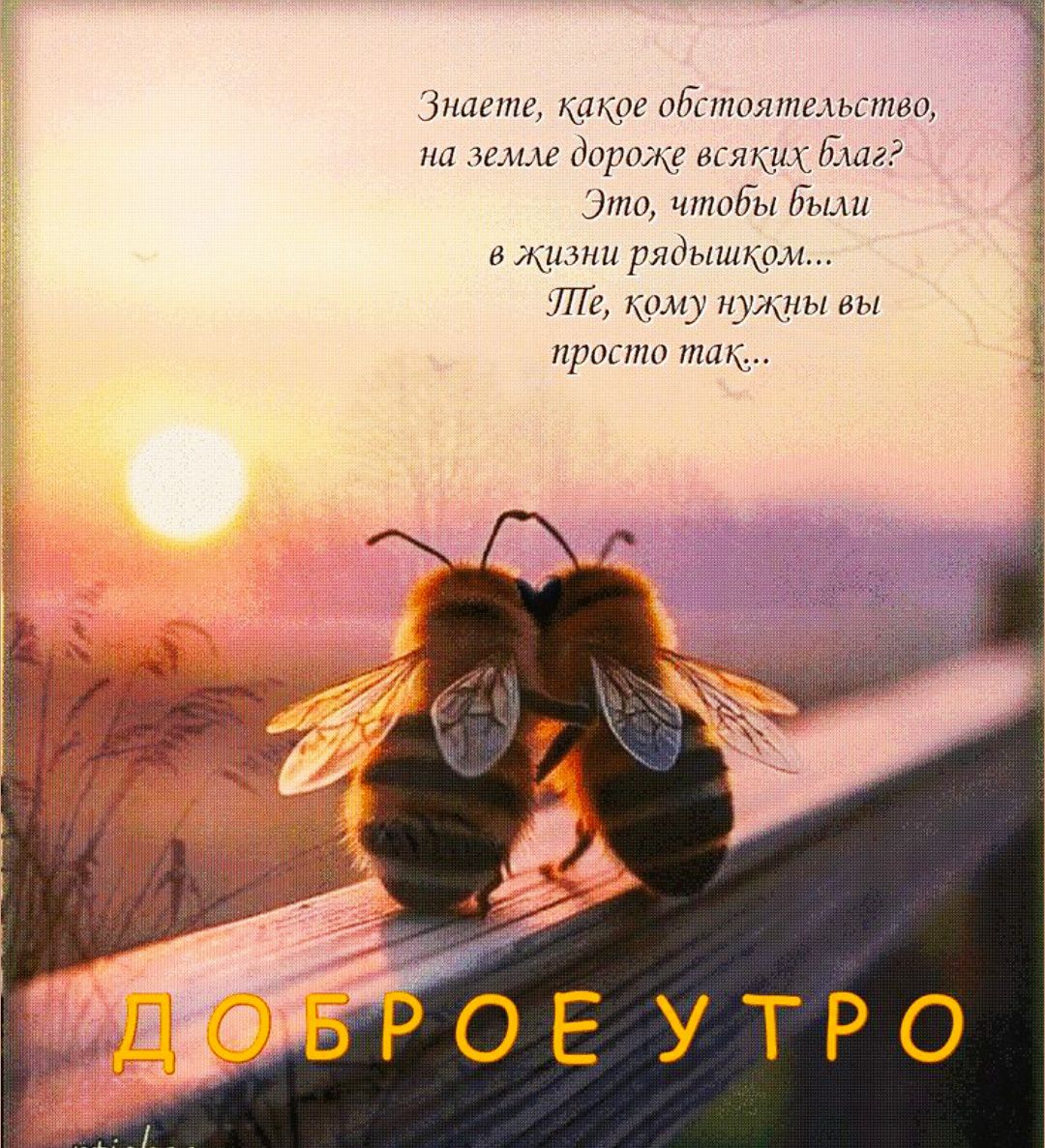 Знаете, какое обстоятельство, на земле дороже всяких благ? Это, чтобы были в жизни рядышком... Те, кому нужны вы просто так...