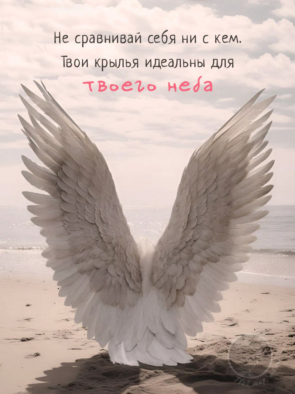 Не сравнивай себя ни с кем.
Твои крылья идеальны для твоего неба.
