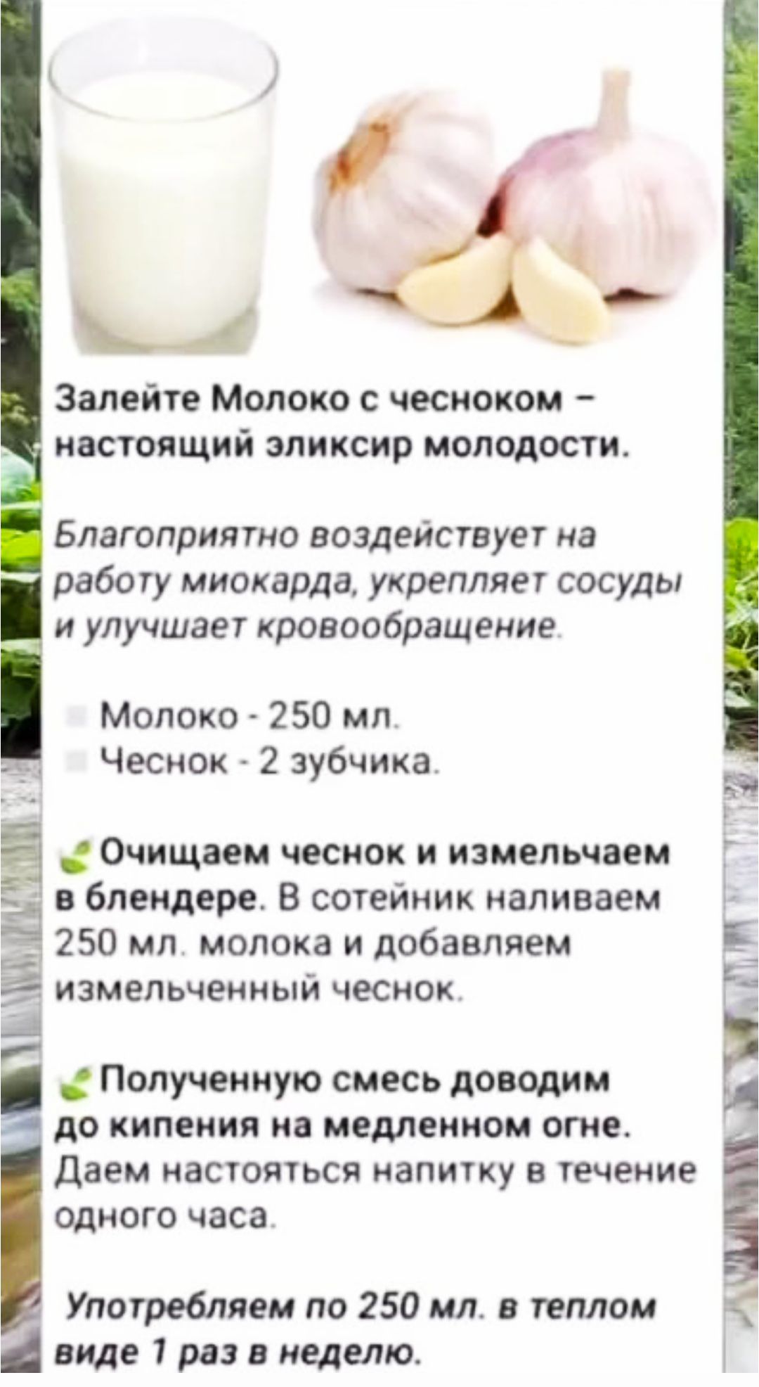 Залейте Молоко с чесноком – настоящий эликсир молодости.

Благоприятно воздействует на работу миокарда, укрепляет сосуды и улучшает кровообращение.

• Молоко - 250 мл.
• Чеснок - 2 зубчика.

🌱 Очищаем чеснок и измельчаем в блендере. В сотейник наливаем 250 мл молока и добавляем измельченный чеснок.

🍵 Полученную смесь доводим до кипения на медленном огне. Даём настояться напитку в течение одного часа.

Употребляем по 250 мл. в тёплом виде 1 раз в неделю.