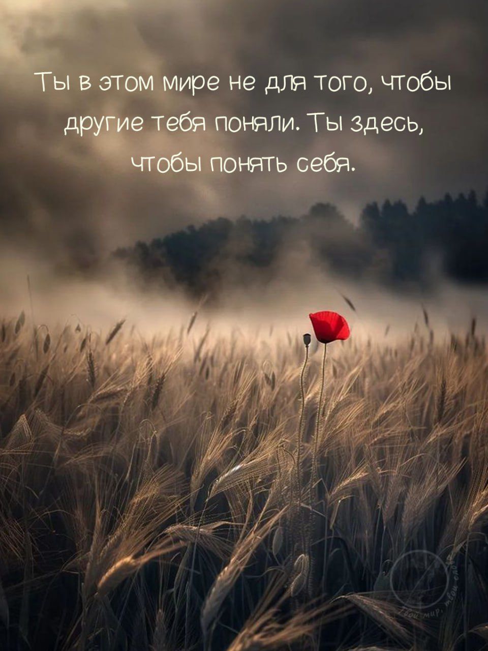 Ты в этом мире не для того, чтобы другие тебя поняли. Ты здесь, чтобы понять себя.