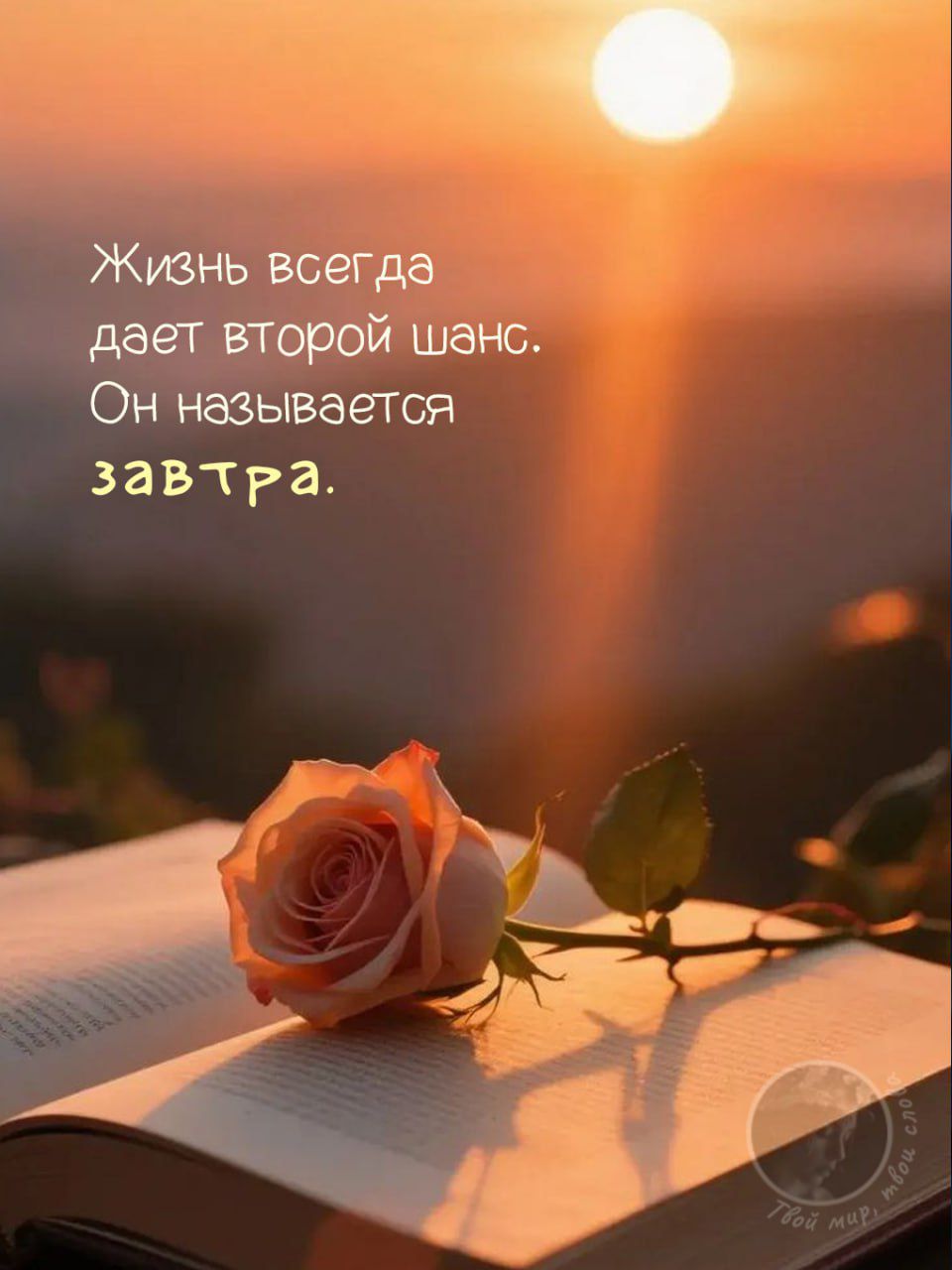 Жизнь всегда даёт второй шанс. Он называется завтра.