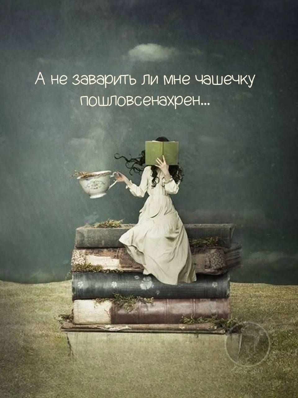 А не заварить ли мне чашечку пошловсенахрен...