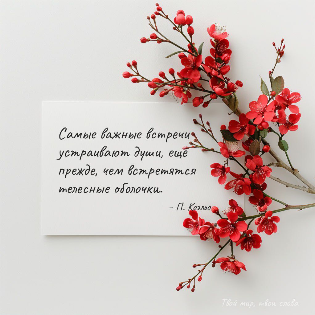 Самые важные встречи устраивают души, еще прежде, чем встретятся телесные оболочки.
– П. Козьмо