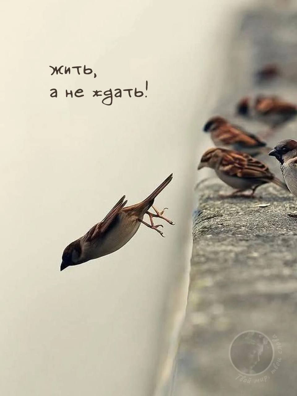 жить, а не ждать!