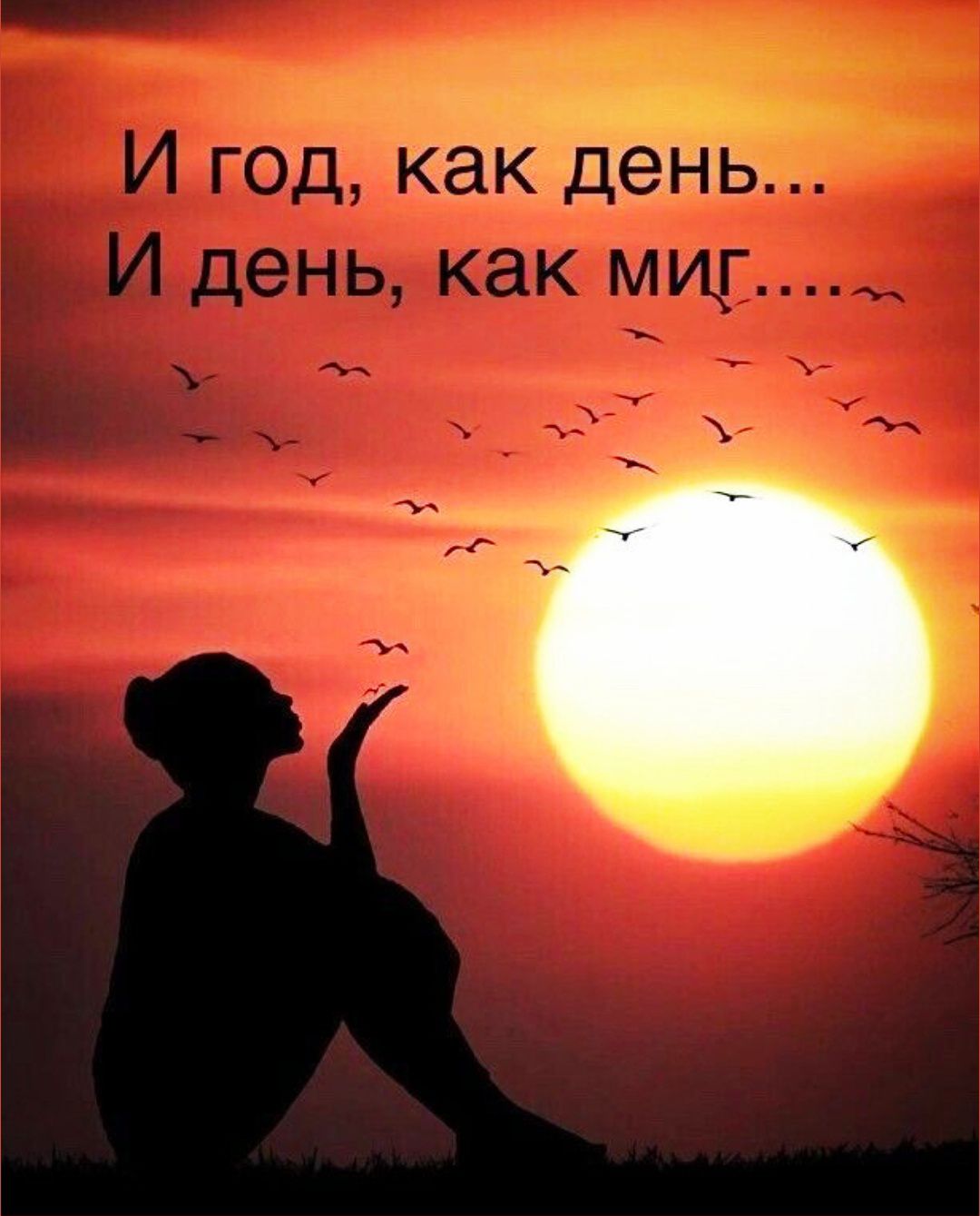 И год, как день... И день, как миг....