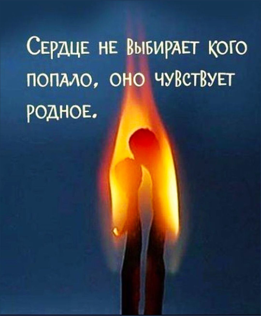 Сердце не выбирает кого попало, оно чувствует родное.