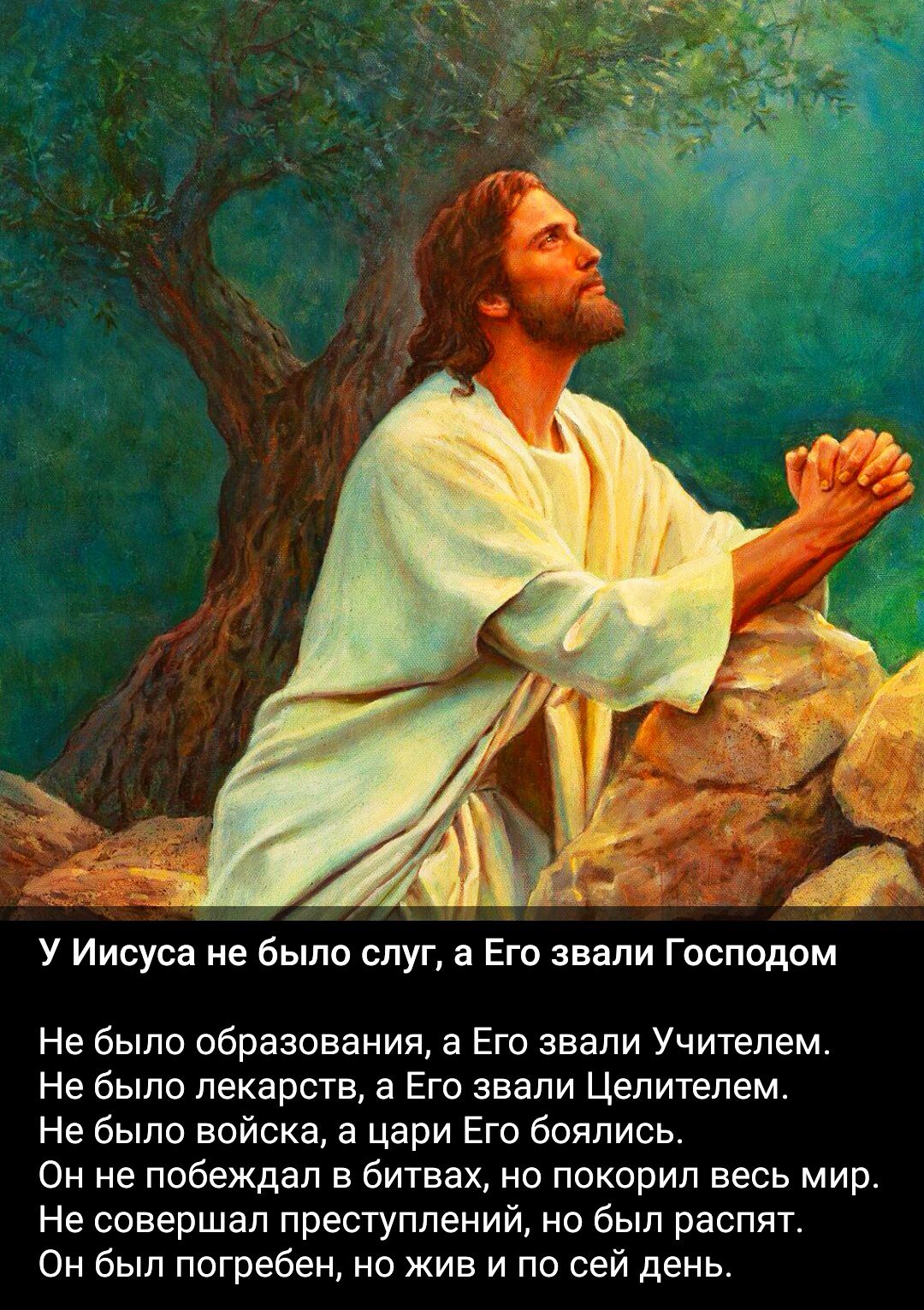 У Иисуса не было слуг, а Его звали Господом.

Не было образования, а Его звали Учителем.
Не было лекарств, а Его звали Целителем.
Не было войны, а цари Его боялись.
Он не побеждал в битвах, но покорил весь мир.
Он не совершал преступлений, но распят.
Он был погребен, но жив и по сей день.