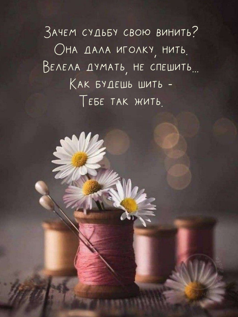 Зачем судьбу свою винить? Она дала иголку, нить, Велела думать, не спешить... Как будешь шить - Тебе так жить.