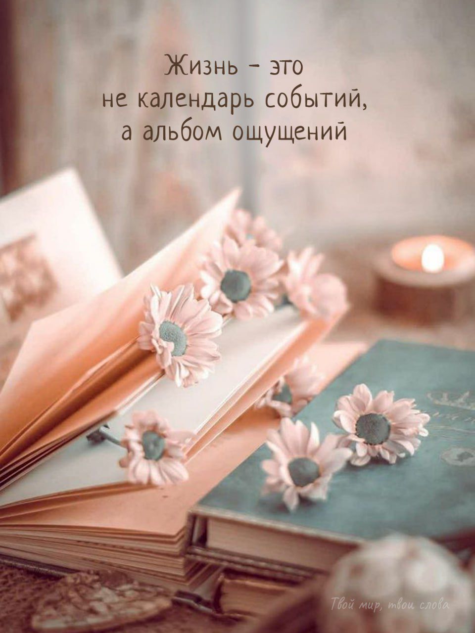 Жизнь - это не календарь событий, а альбом ощущений